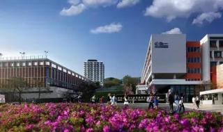 贝赛思国际学校价格表
