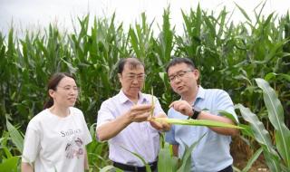 2022中国科学十大进展
