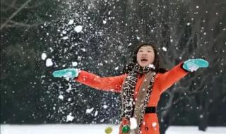 河南鹅毛大雪满天飞