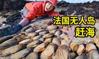 2023年海参价格一览表