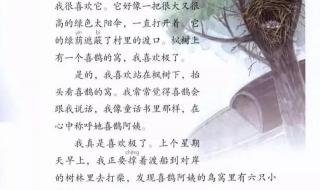 一匹出色的马课文