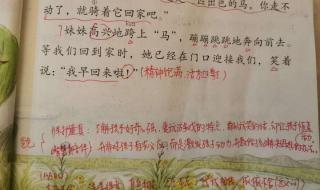 一匹出色的马课文